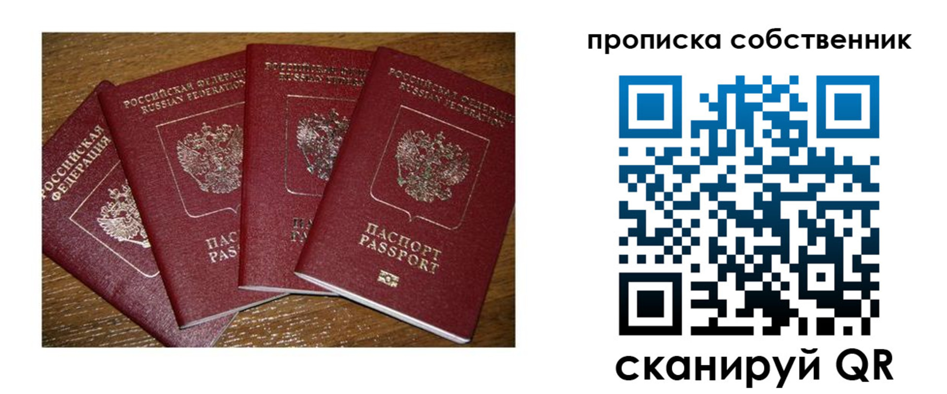 прописка поиск в Мончегорске